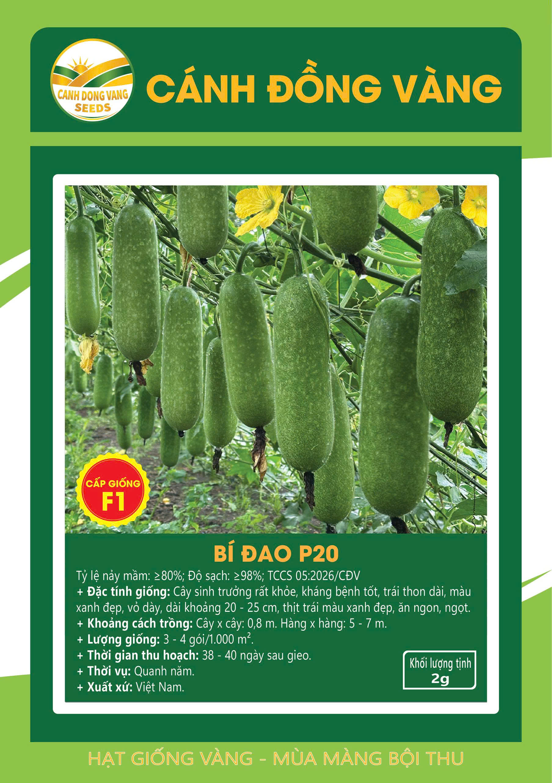 BÍ ĐAO P20